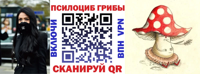 наркота  Зубцов  площадка телеграм  Галлюциногенные грибы GOLDEN TEACHER 