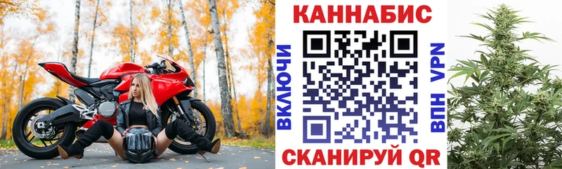 закладки  Зубцов  Канабис планчик 